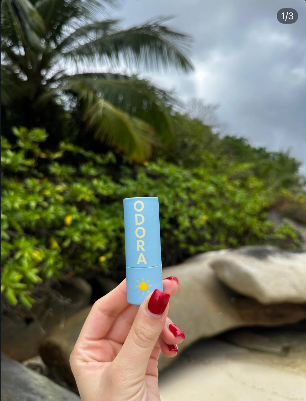 Coco isle